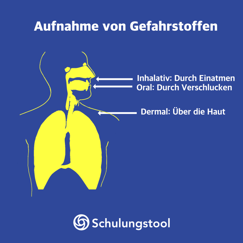 Aufnahme von Gefahrstoffen als Teil der Unterweisung Gefahrstoffe: inhalativ, oral und dermal